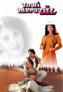tu hi mera dil 1994