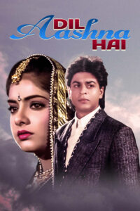 dil aashna hai 1992