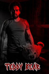 teddy bear hindi dubbed 2025